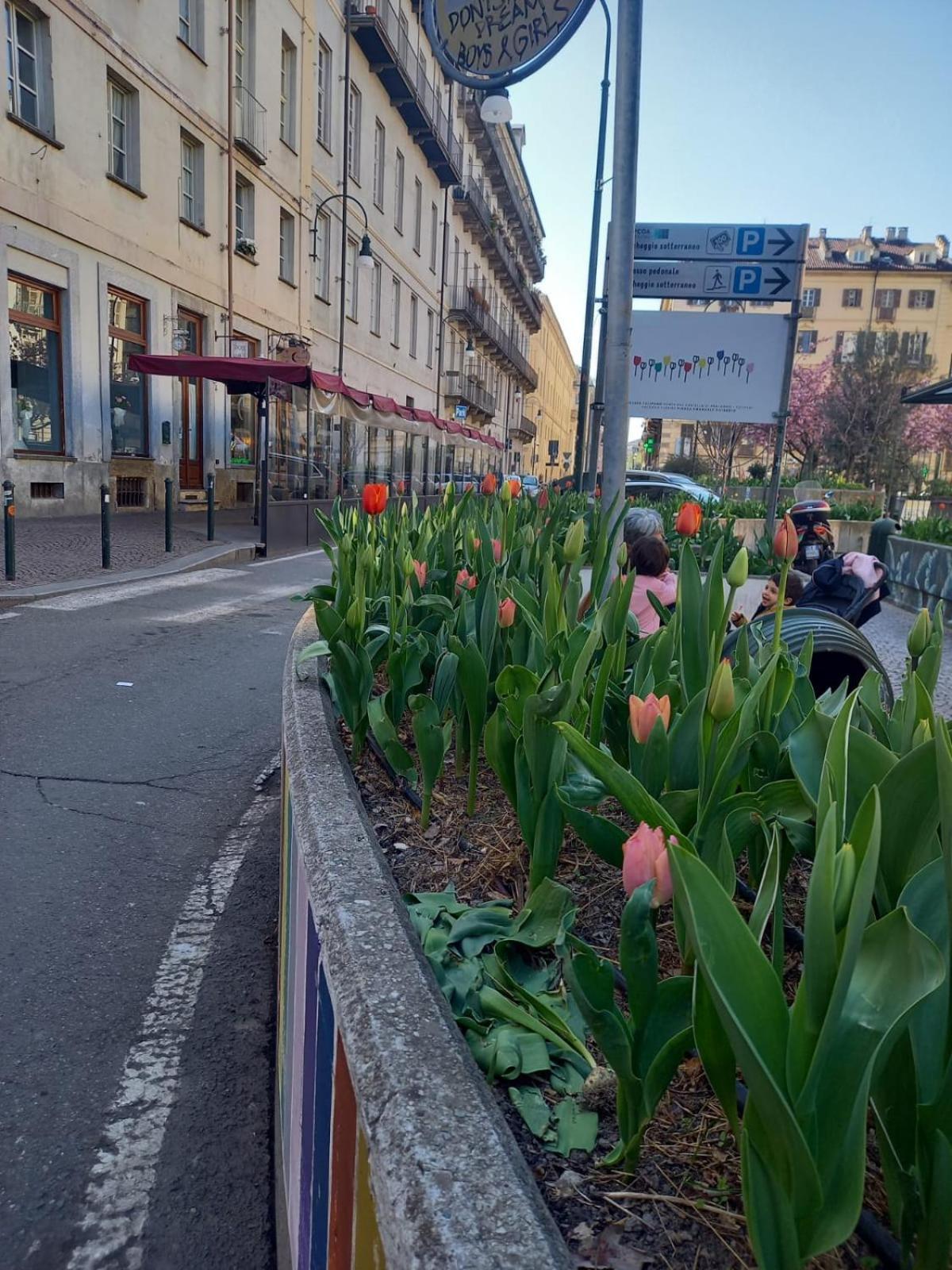 Centralissimo Nel Cuore Del Quadrilatero Di Torino 외부 사진